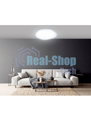 Потолочный светодиодный светильник Ambrella light FZ1601 FR матовый IP20 40W 5000K 410*100 (Без ПДУ)