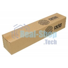 Бумага Cactus CS-PP230-61030 24