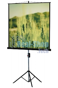 Экраны LUMIEN LUMIEN Master Picture LMP-100101, 127х127 см, 1:1