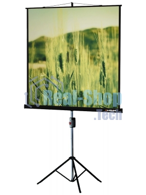 Экраны LUMIEN LUMIEN Master Picture LMP-100101, 127х127 см, 1:1