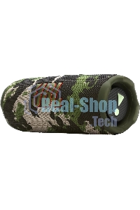 Колонка портативная JBL FLIP 7 камуфляж 25W 1.0 BT 1800mAh (JBLFLIP7SQUAD)