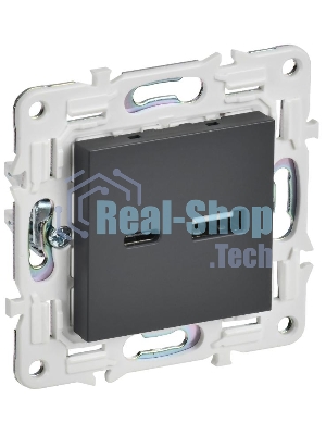 SKANDY Розетка USB A+C 3,1А SK-R14T титан | SK-U22-D31-K48 | IEK