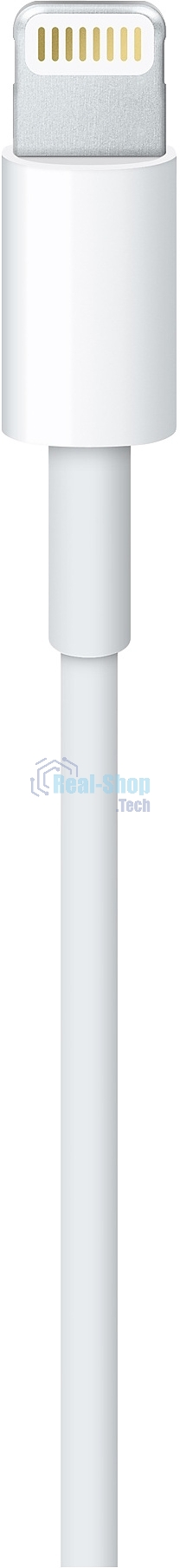 Кабель Apple для iPhone 5/5S MD819ZM/A (MD819ZM/A)