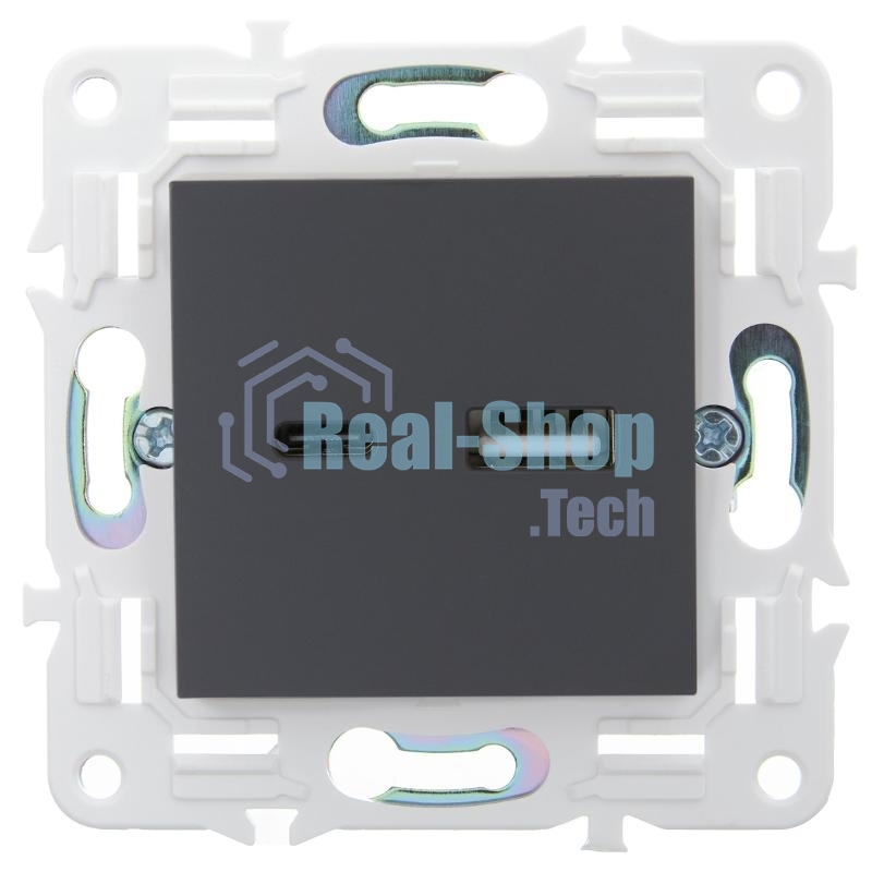 SKANDY Розетка USB A+C 3,1А SK-R14T титан | SK-U22-D31-K48 | IEK