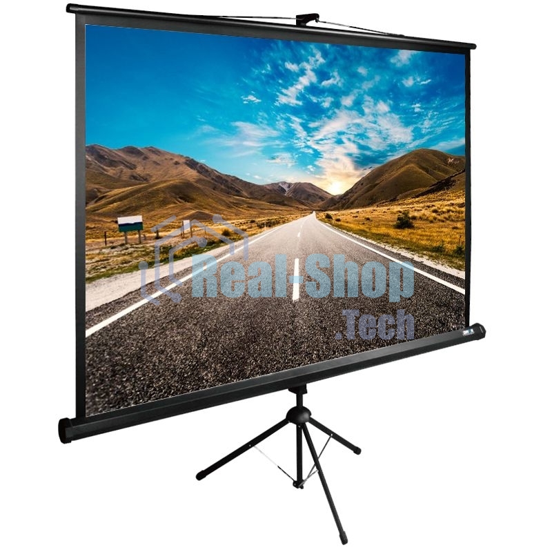 Экран Cactus 160x160 см TriExpert CS-PSTE-160x160-BK 1:1 напольный рулонный