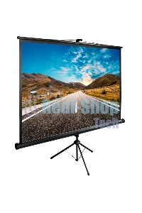 Экран Cactus 160x160 см TriExpert CS-PSTE-160x160-BK 1:1 напольный рулонный