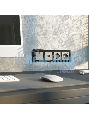 Выключатель двухклавишный проходной WERKEL (дымчатый) W1222004