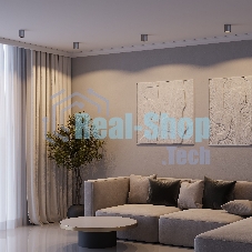 25116/LED 12W 4000K / Светильник потолочный светодиодный / титан