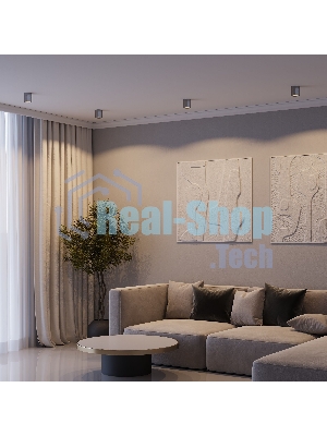 25116/LED 12W 4000K / Светильник потолочный светодиодный / титан