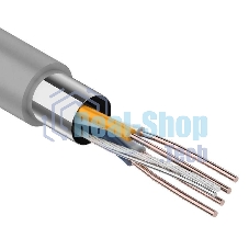 Кабель витая пара Rexant F/UTP cat.5e 2х2х24AWG solid CU PVC сер. (м)