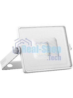 Прожектор светодиодный FERON 294942835 SMD 20W 6400K IP65, белый с матовым стеклом, LL-919
