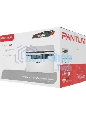 МФУ лазерное Pantum BM2300, A4, ч/б, печ./скан. до 22 стр/мин, 1200 x 1200 dpi, USB