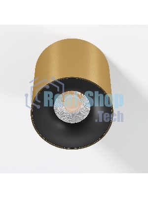 25116/LED 12W 3000K / Светильник потолочный светодиодный / латунь