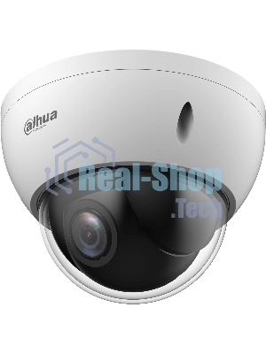 Камера видеонаблюдения Dahua DH-SD22404DB-GNY
