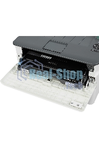 Принтер лазерный Pantum P3010DW, A4, ч/б, печ. до 30 стр/мин., 1200 x 1200 dpi, USB, RJ-45, Wi-Fi, NFC