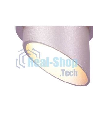 Светильник Ambrella light TN206 PI/S розовый/песок GU5.3 D68*75
