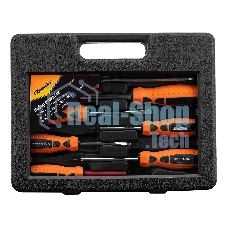 Набор отверток Sparta биты, двухкомпонентные рукоятки, 21 предмет