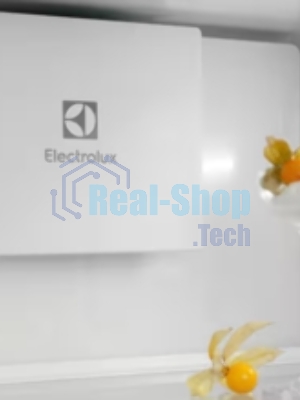 Холодильник встраиваемый ELECTROLUX ENT6MD19S3 комбинированный No Frost (морозильная камера), электронное управление, полезный объём: 269 л (207 + 62 л), перенавешиваемые двери, складная полка, полка для вина, лоток для яиц, 54x54.9x189.5 см