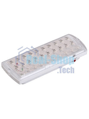 Светильник аварийный IEK LDPA0-2101-30-K01 ДПА 2101, аккумулятор, 4ч, 30LED, IP20, IEK