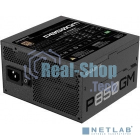 Блок питания Gigabyte GP-P850GM RTL, 850Вт, 80 PLUS Gold, 120мм, модульный, черный