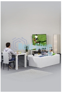 Кронштейн для телевизора Hama H-118113 черный 10