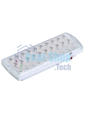 Светильник аварийный IEK LDPA0-2101-30-K01 ДПА 2101, аккумулятор, 4ч, 30LED, IP20, IEK