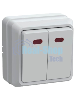 Выключатель 2-кл. ОП ОКТАВА с инд. 10А IP20 ВС20-2-1-ОБ белый ИЭК EVO21-K01-10-DC