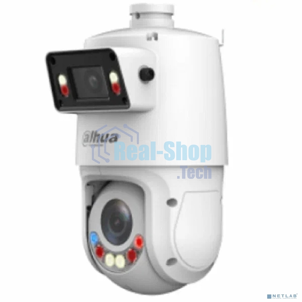 Камера видеонаблюдения Dahua DH-SDT4E425-4F-GB-A-PV1-0280-S2