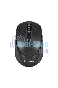 Мышь беспроводная ExeGate Professional Standard SR-9005 черный, 1200 dpi, радиоканал, USB, кнопки - 4