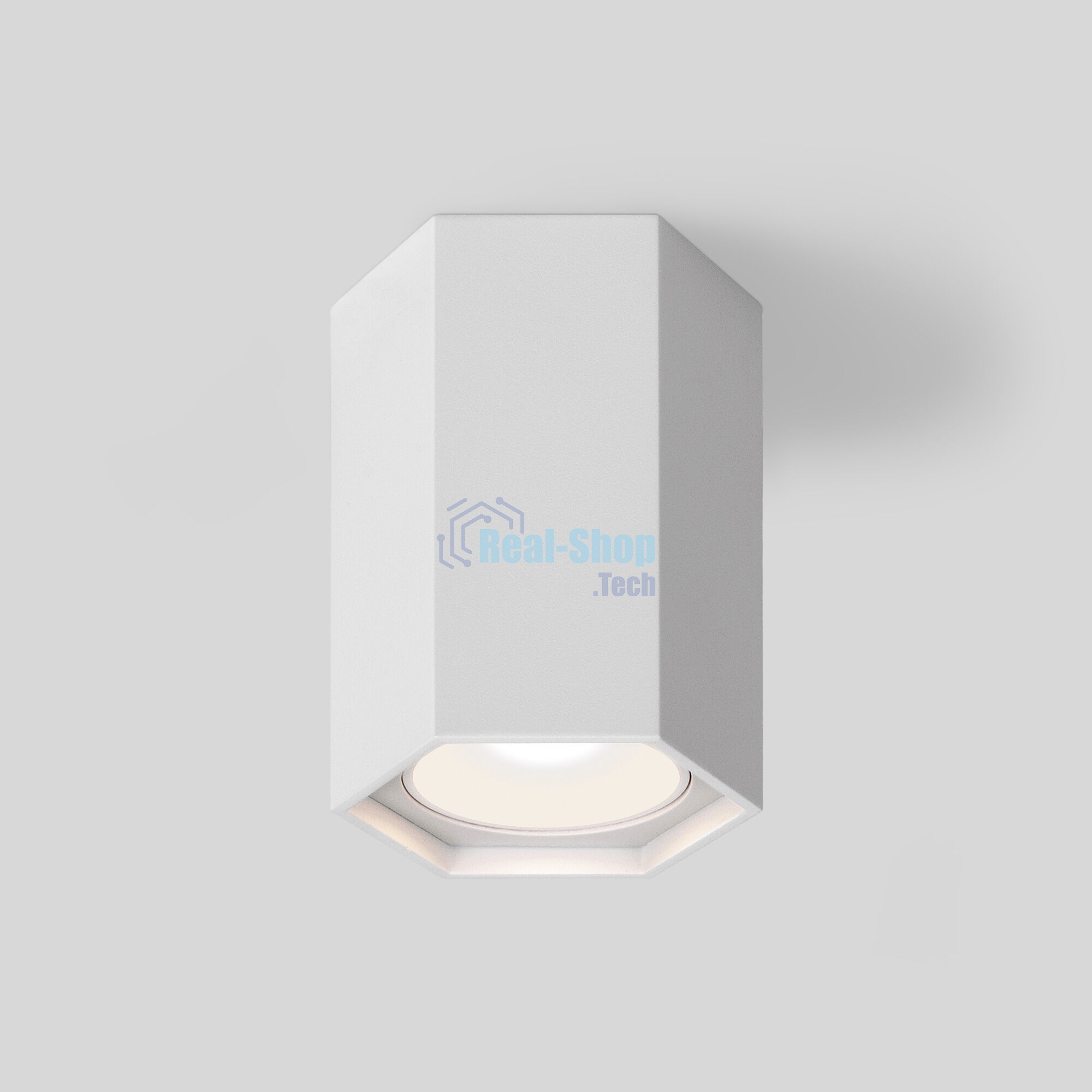 25037/LED / Светильник накладной белый матовый