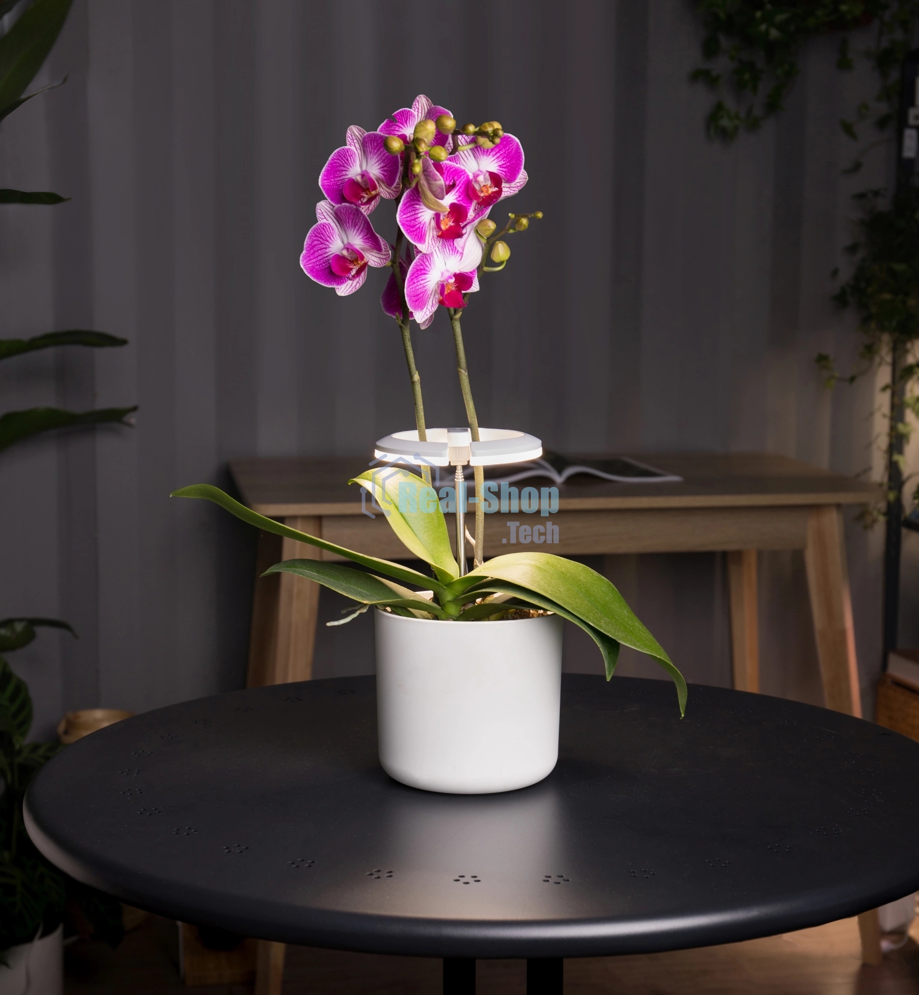 Светильник фито Cactus GARDEN светод. 7.5Вт цв.св.:белый (CS-LED-ORCHID)