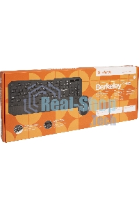 Комплект клавиатура + мышь Defender Berkeley C-925 Nano B черный