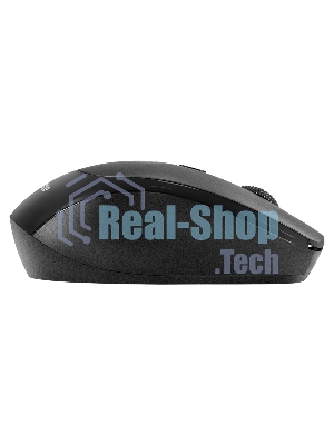 Мышь беспроводная ExeGate Professional Standard SR-9005 черный, 1200 dpi, радиоканал, USB, кнопки - 4