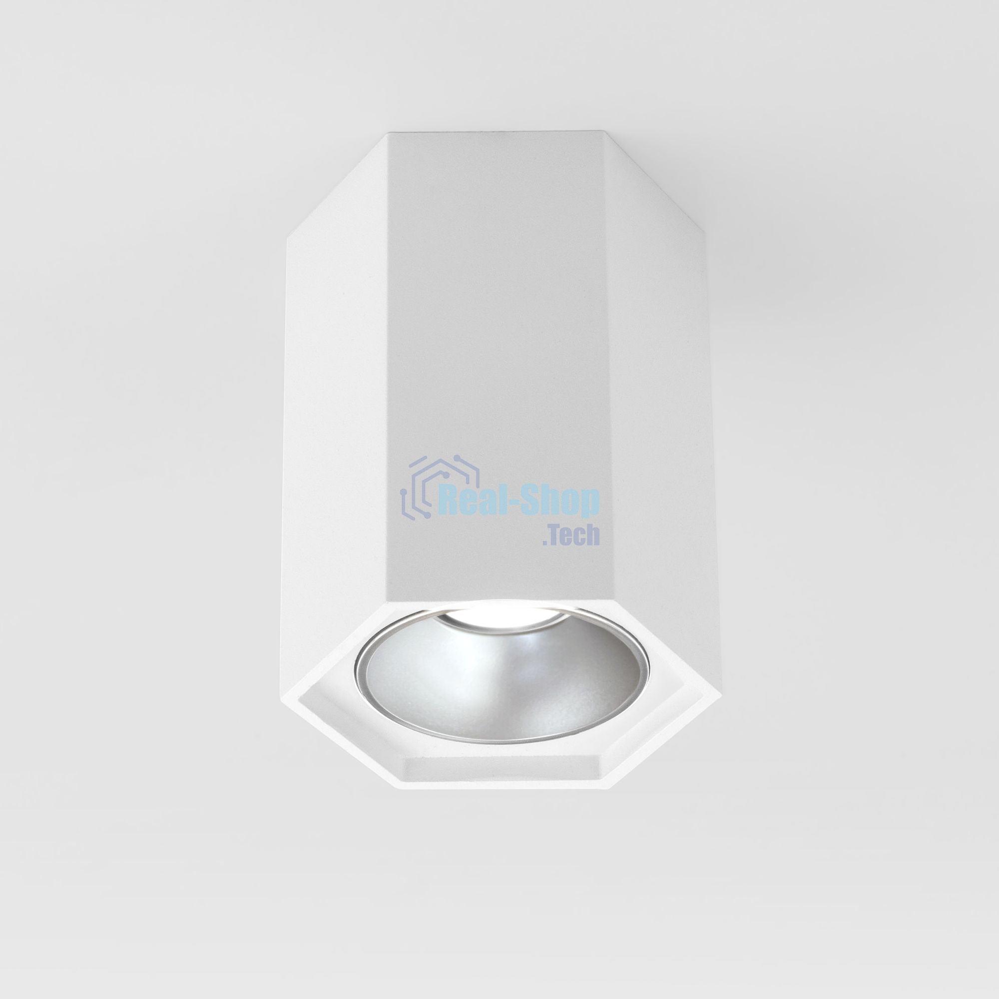 25036/LED / Светильник накладной белый матовый/серебро