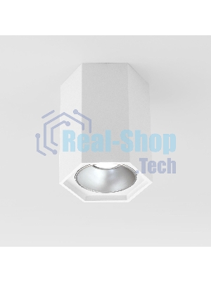 25036/LED / Светильник накладной белый матовый/серебро