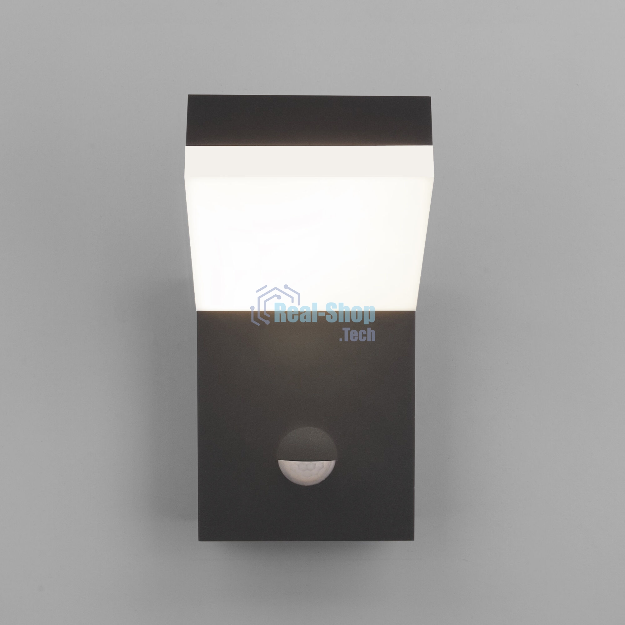 1541 TECHNO LED / Светильник садово-парковый со светодиодами с датчиком движения 3000K чёрный