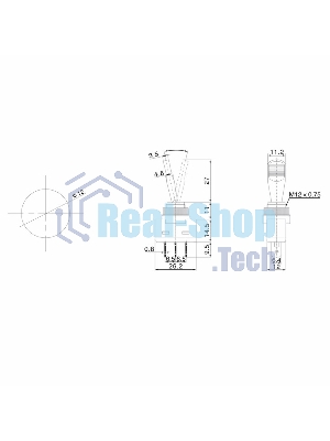 Тумблер Rexant 12V 20А (3c) ON-OFF однополюсный с зеленой подсветкой