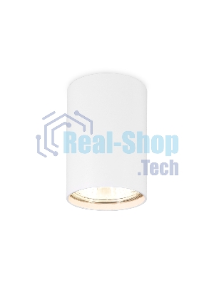 Светильник Ambrella light TN213101 WH белый GU5.3 D55*80