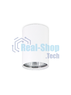 Светильник Ambrella light TN213101 WH белый GU5.3 D55*80