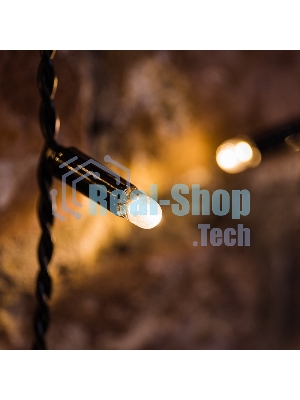 Гирлянда светодиодная Neon-night 