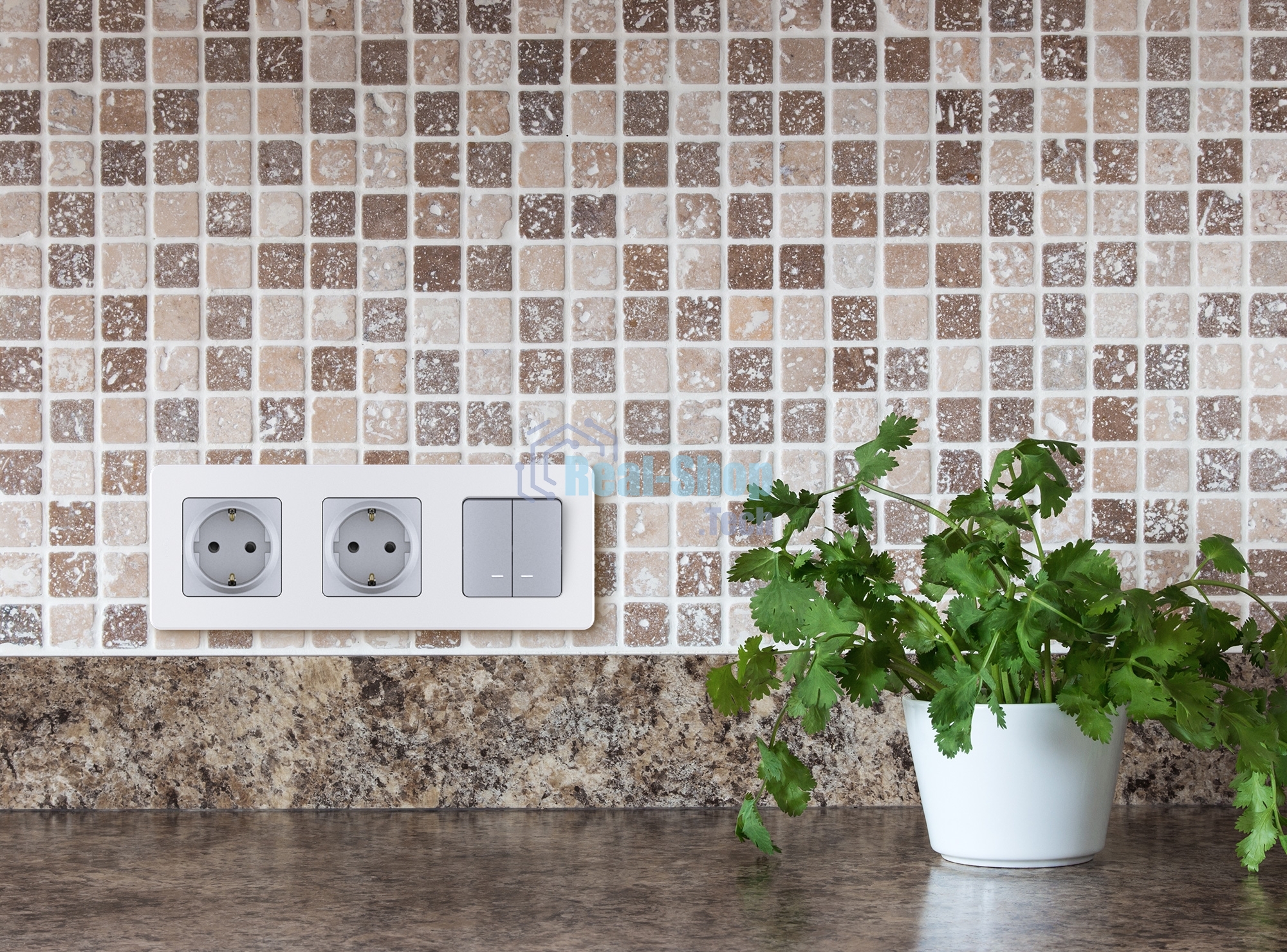 Выключатель 2-клавишный с подсветкой/индикацией 10AX 250 В алюминий