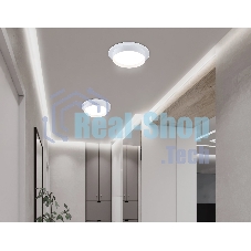 Светильник Ambrella light TN5225 WH белый GX53 D110*35