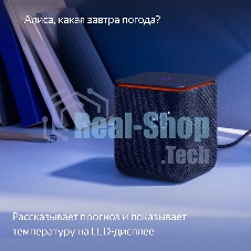 Умная колонка Яндекс Станция Миди, ZigBee, 24Вт, с голосовым ассистентом Алиса на YaGPT, черный