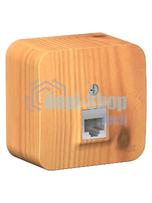 Розетка компьютерная 1-м ОП Blanca RJ45 кат.5e изол. пласт. ясень SchE BLNIA045005