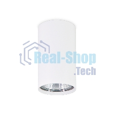 Светильник Ambrella light TN213108 WH белый GU5.3 D55*100