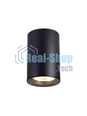 Светильник Ambrella light TN213109 BK черный GU5.3 D55*100