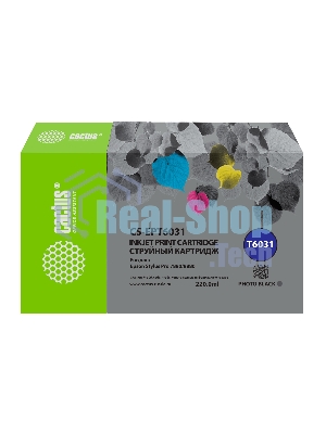 Картридж струйный Cactus CS-EPT6031 (T6031) фото черный (220 мл) для Epson Stylus PRO 7880/9880