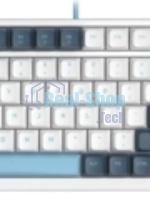 Клавиатура проводная A4Tech Fstyler FS300 механическая черный/серый USB for gamer LED (FS300 PANDA ROCK)