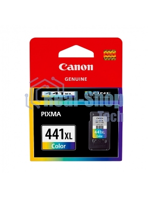 Картридж струйный Canon CL-441XL (5220B001) многоцветный для Canon MG2140/3140