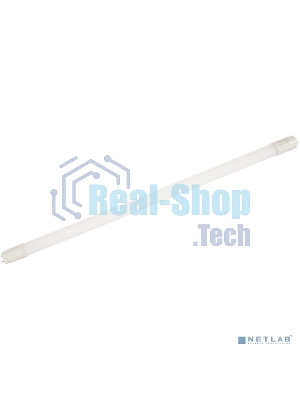 Лампа светодиодная ЭРА LED T8-10W-865-G13-600mm Б0033000 ЭРА